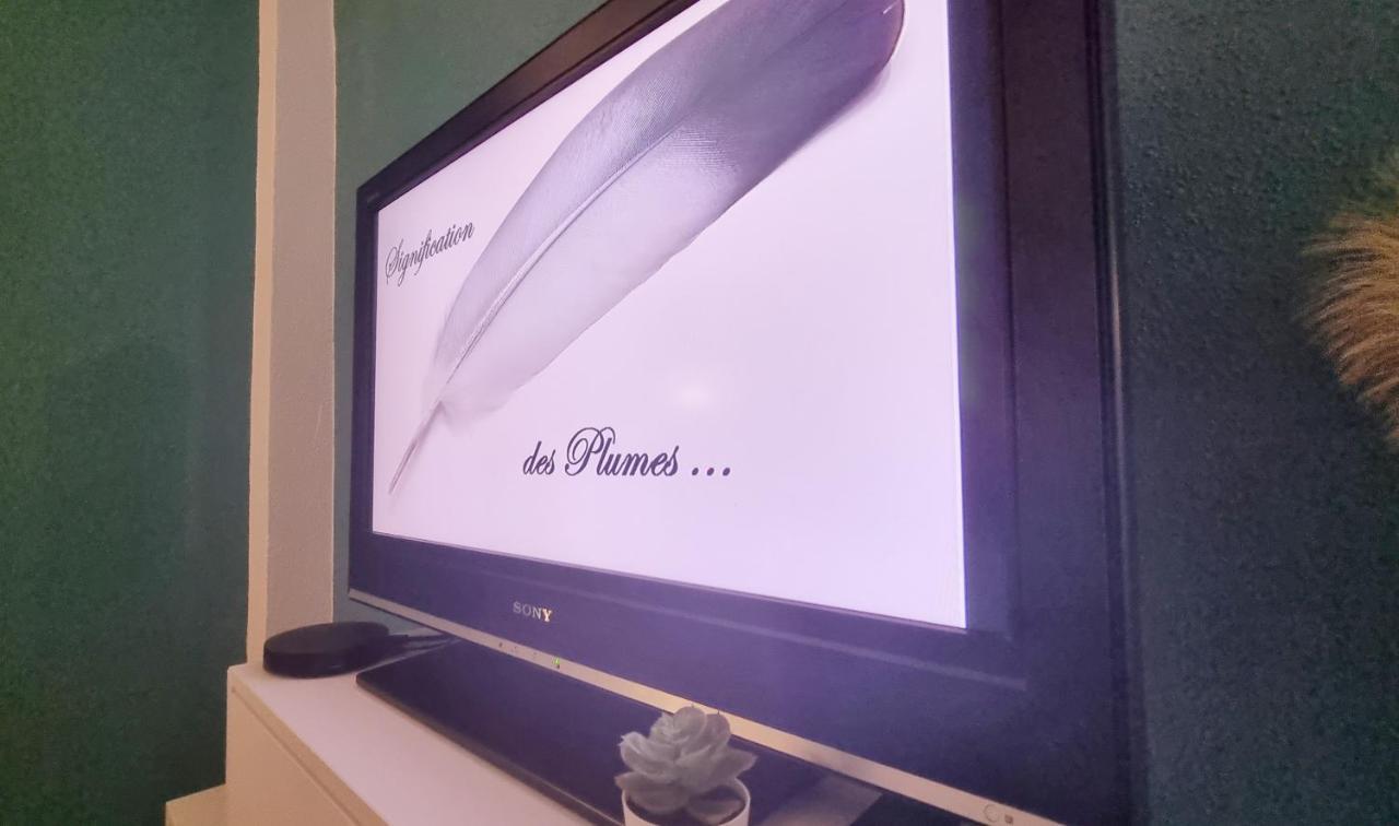 La Plume De Jais - Famille Ou Travail- Fibre - Confortable Soultz-Haut-Rhin 외부 사진